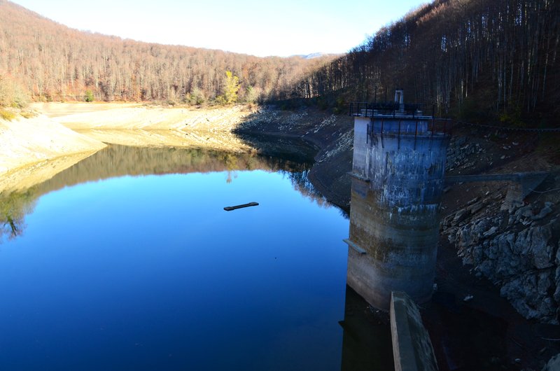 Navarra y sus pueblos-2015 - Blogs de España - Selva de Irati-14-11-2015 (15)