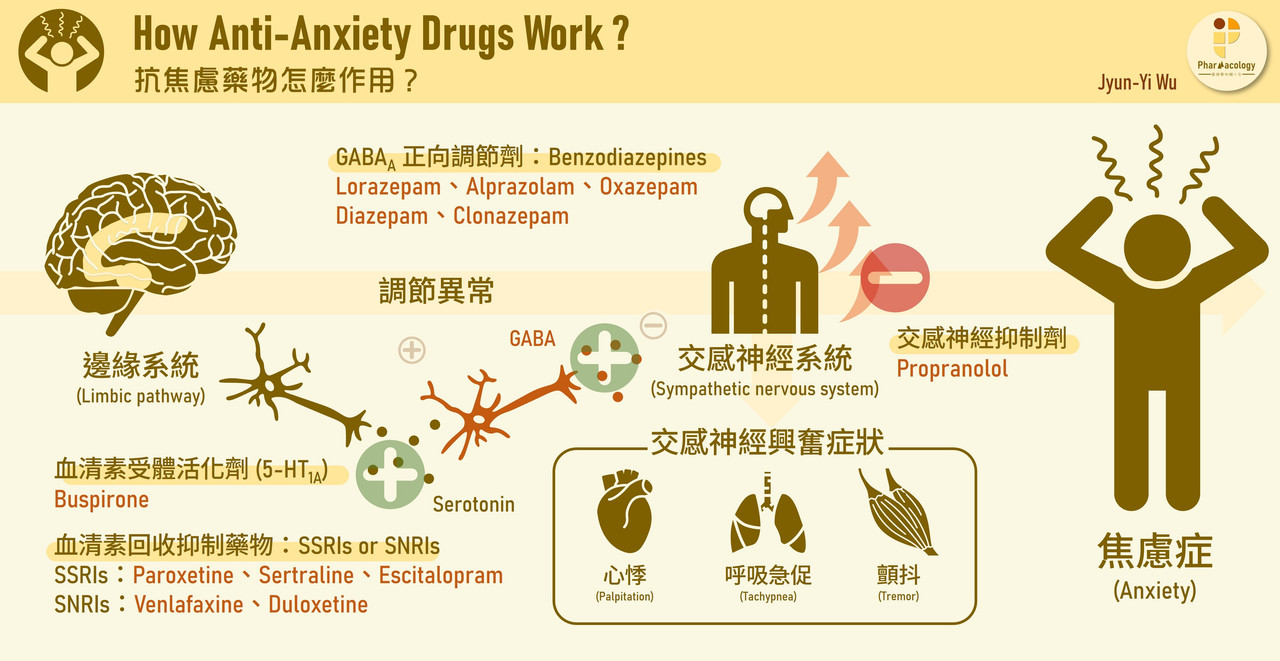抗焦慮藥物怎麼作用