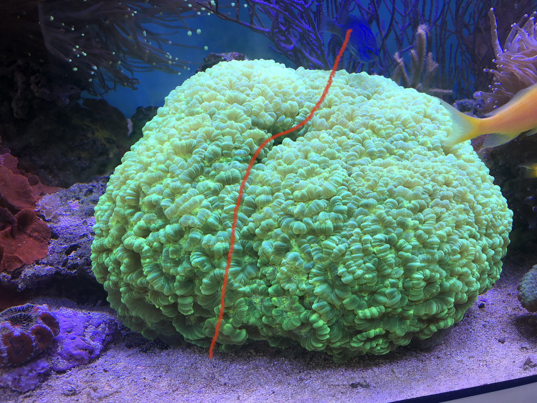 1A2BB5B8-4796-4998-A1DB-BBC0AD520295