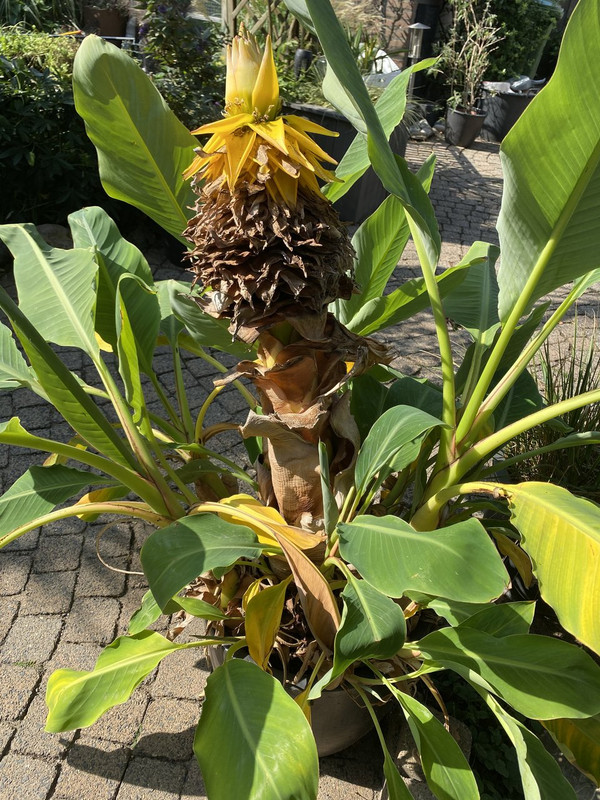 5674E892-A99D-4CB2-8E96-680ADF49CCAB