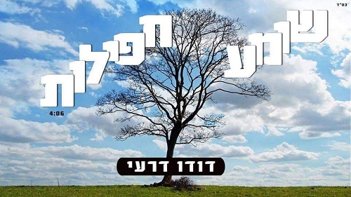 תמונה