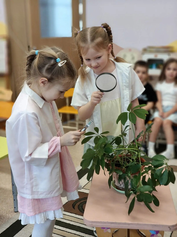 IMG-20260204-223050-398