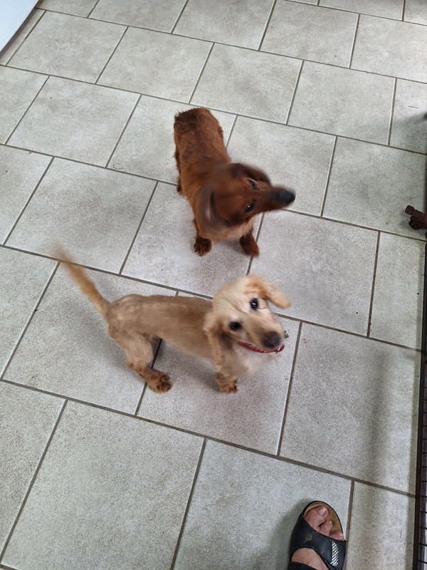 [Image: 20240426-104625.jpg]