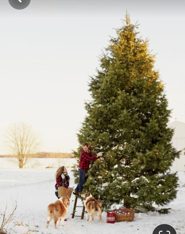 Screenshot_20230517_230007_Pinterest