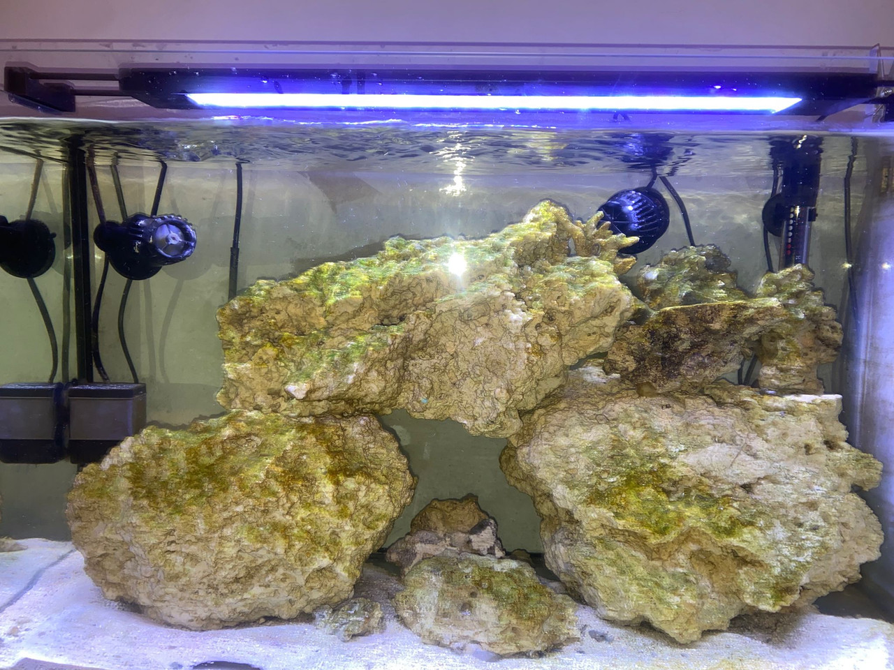 Whats App Image 2026 03 18 at 22 44 37