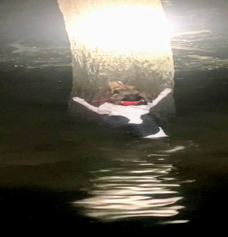 IMG_0869_exported_2698~4