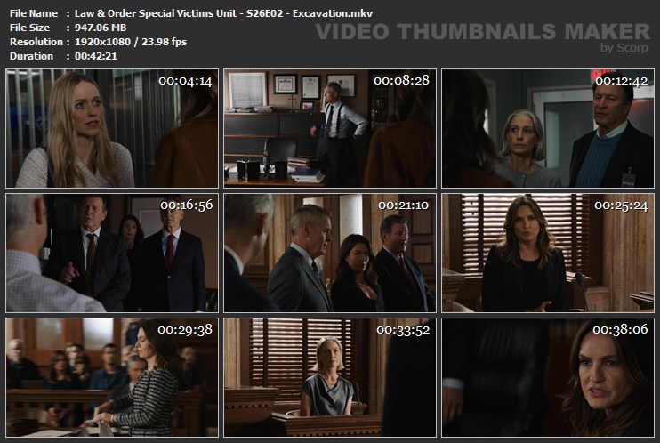 Law & Order Special Victims Unit - S26E02 - Excavation.mkv