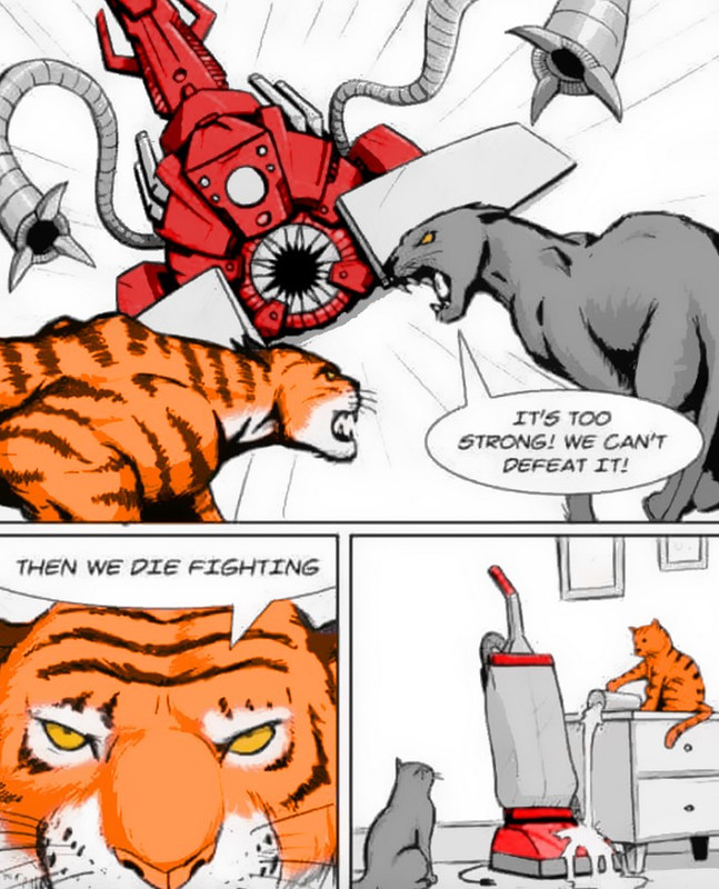 cat-vs-vacuum.jpg