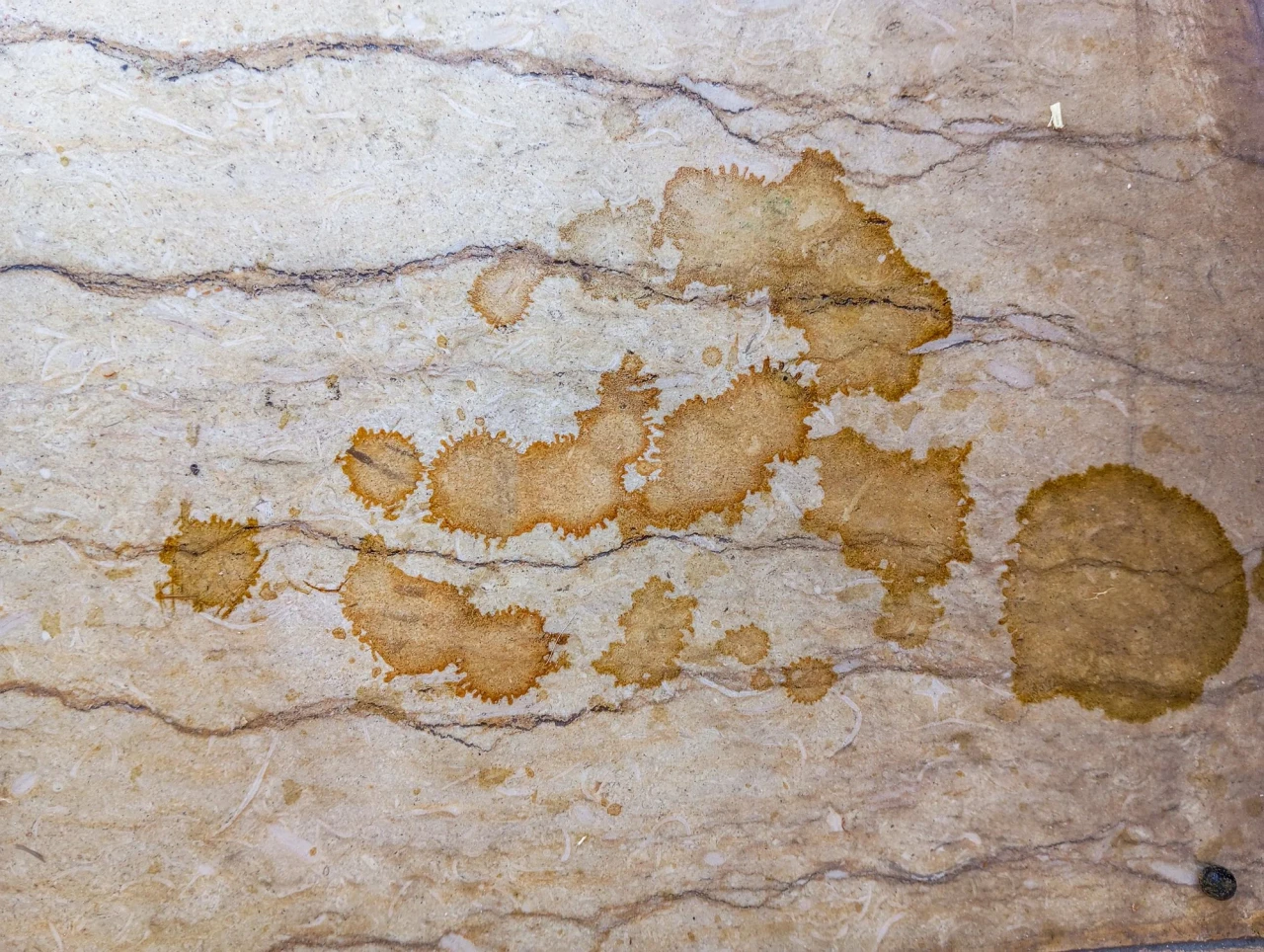 Imported marble dining table protection