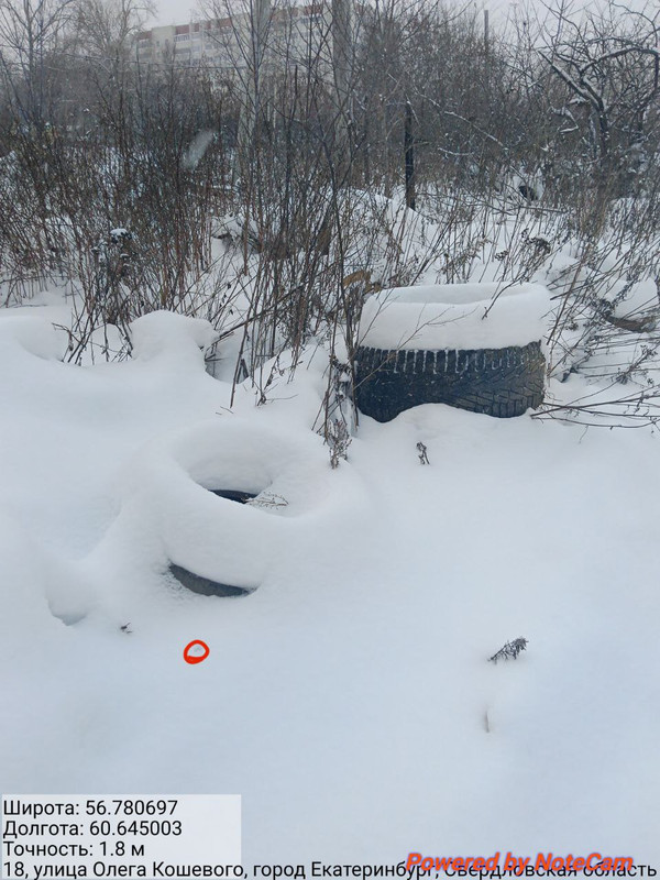 photo 8 2025 12 20 09 33 53