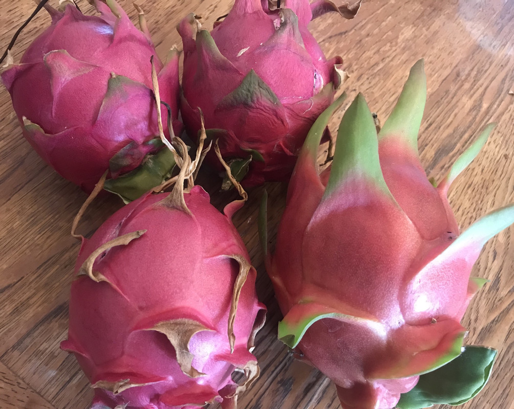 46B524BC-29AE-4CC1-8F94-D7C82DA04781