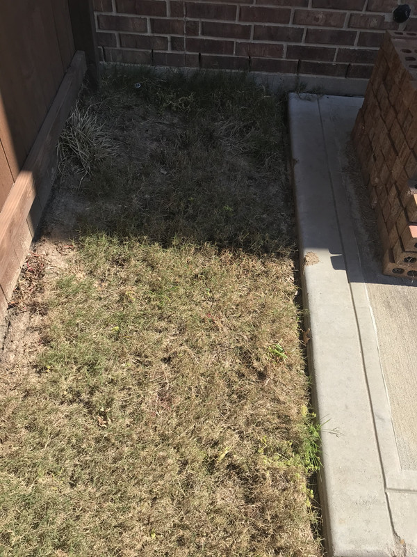 AEB3E238-3981-4687-BF4B-C2B6954DFB2F