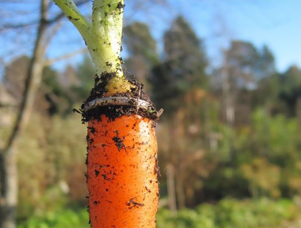 25 невероятных историй о людях нашедших свои вещи, которые они уже не надеялись найти