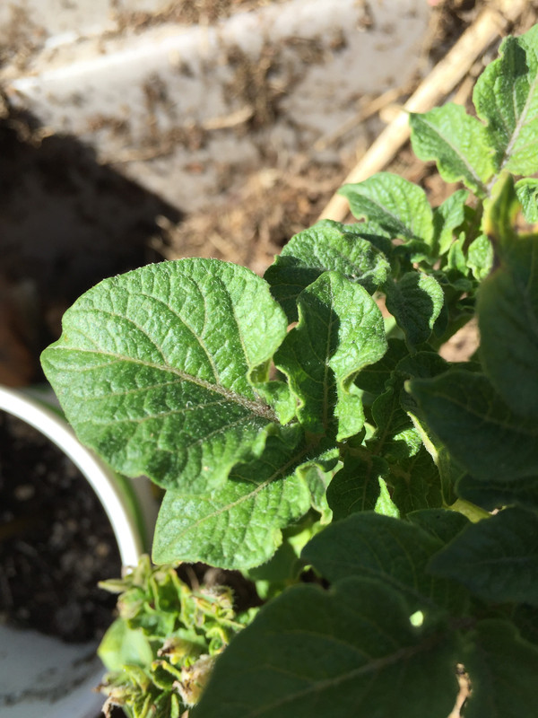 39DCD6F6-BBD8-4AE9-BA5F-560C328B7B5B