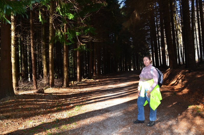 SELVA DE IRATI-14-11-2015-NAVARRA - Paseando por España-1991/2015-Parte-1 (79)