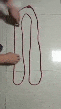 daily-gifdump-3412-29.gif