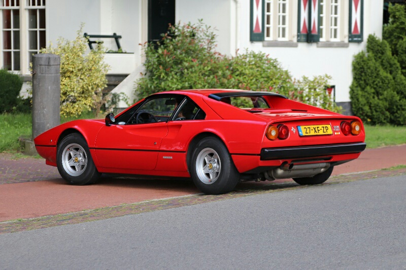 aviary-image-1692554181162