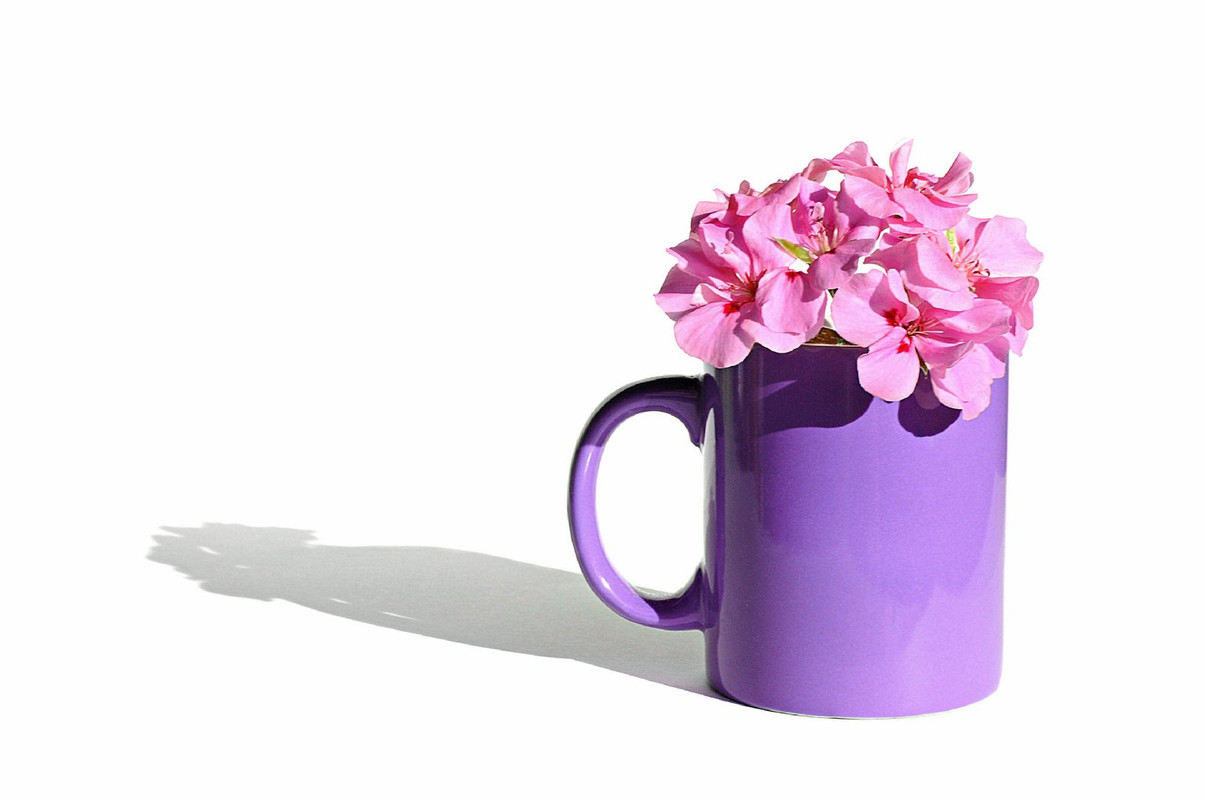 purpleflowercup.jpg