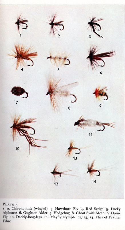 Hares Ear Nymph Fly 12 Flies CDC Comparadun Mayfly Dry Fly