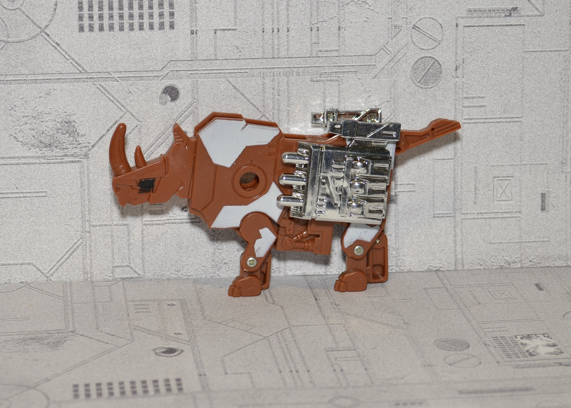 Cassettes_ramhorn (1)