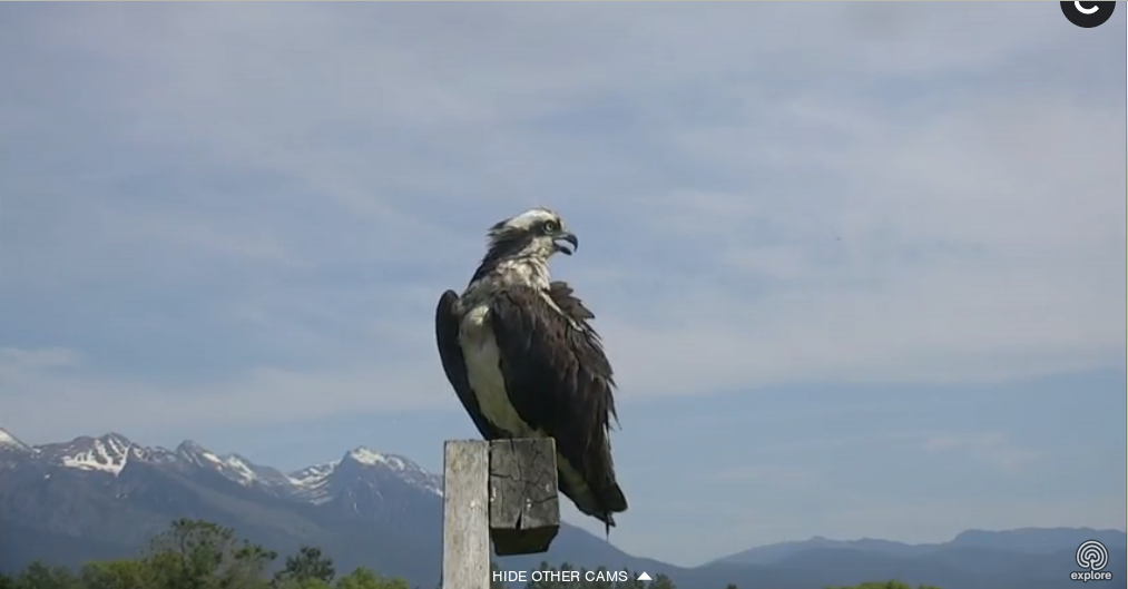 Képernyőkép – 2018-06-06 23-54-38