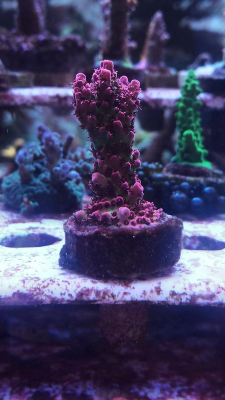 C907DF1E-A8D3-4618-9618-E3D0FA35B124