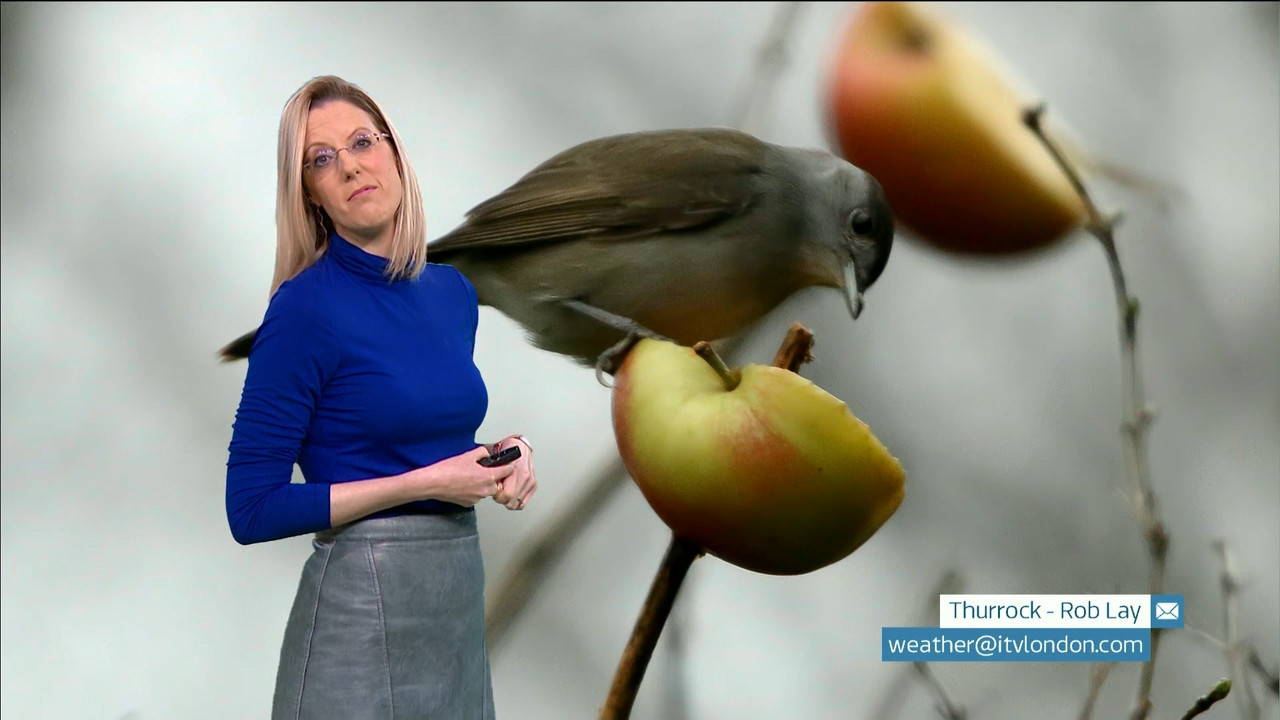 ITV News London_20230126_18001825.ts_snapshot_20.14.794