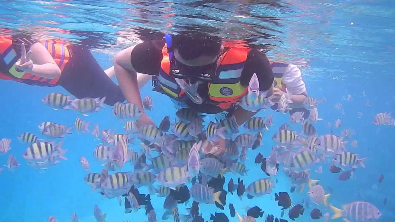 Pengalaman Snorkeling dan Diving yang Tak Terlupakan