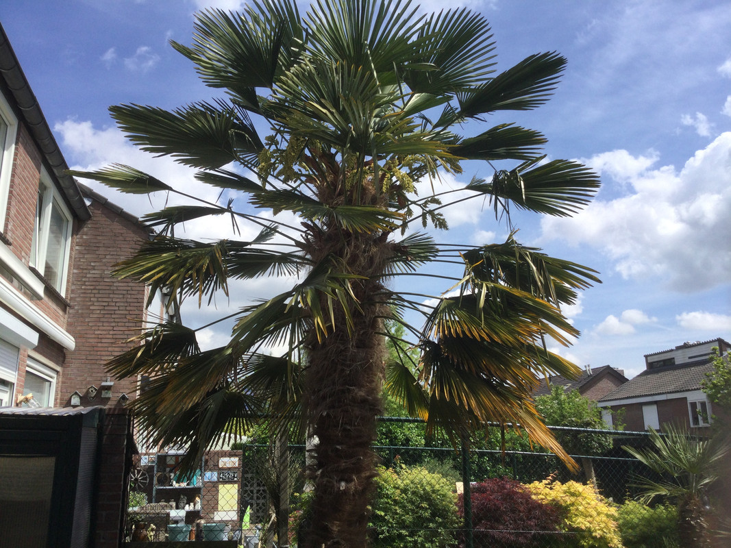 6C1EC77F-4EA6-4EEB-BDC9-B3C9B3DE0231