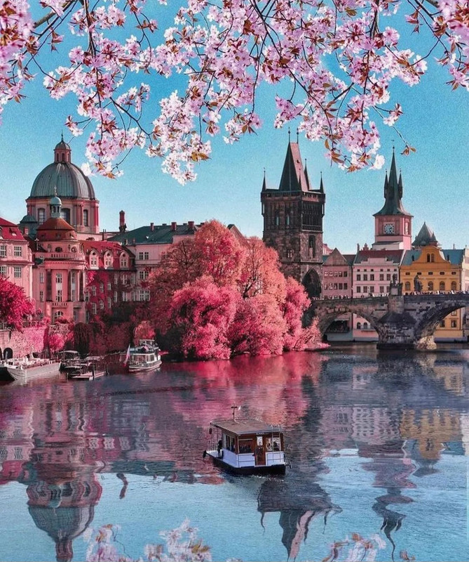 Screenshot_20240419_232325_Threads