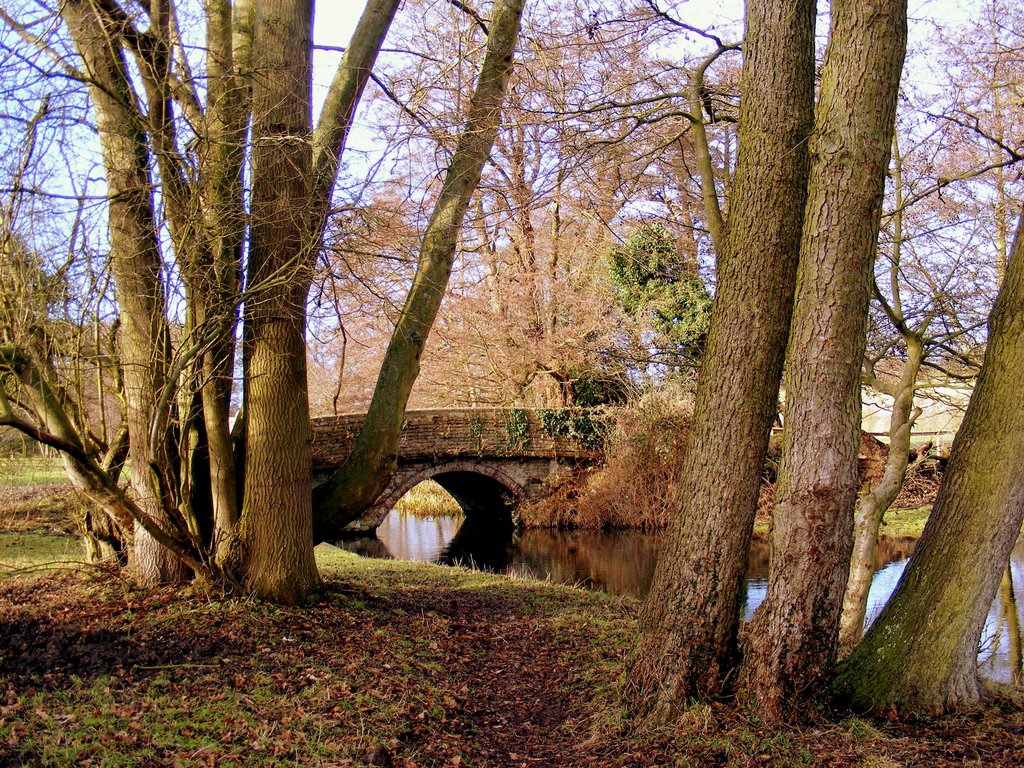 trees9.jpg