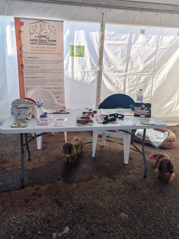 [Image: IMG-20251004-101037.jpg]