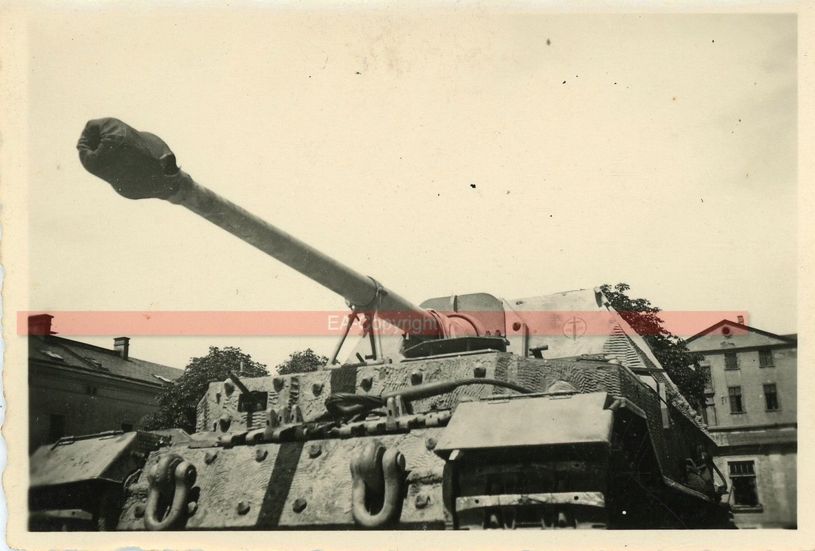 Panzer Tank Panzerjäger Ferdinand Elefant Wappen