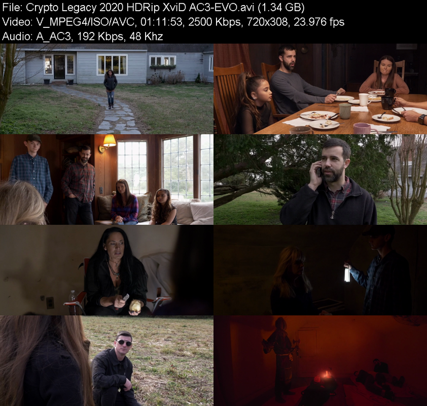 crypto-legacy-2020-hdrip-xvid-ac3-evo.pn