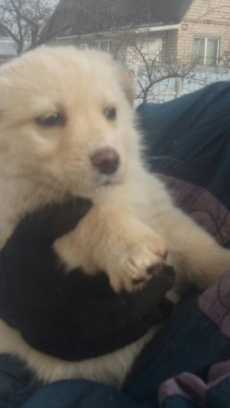 F099F57B-1F3B-40C7-8C32-3CBE048B7058