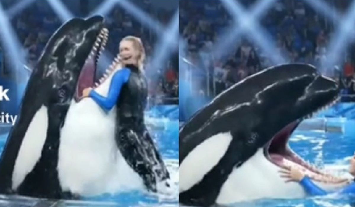 Etika Media Sosial di Era AI Tantangan dan Tanggung Jawab