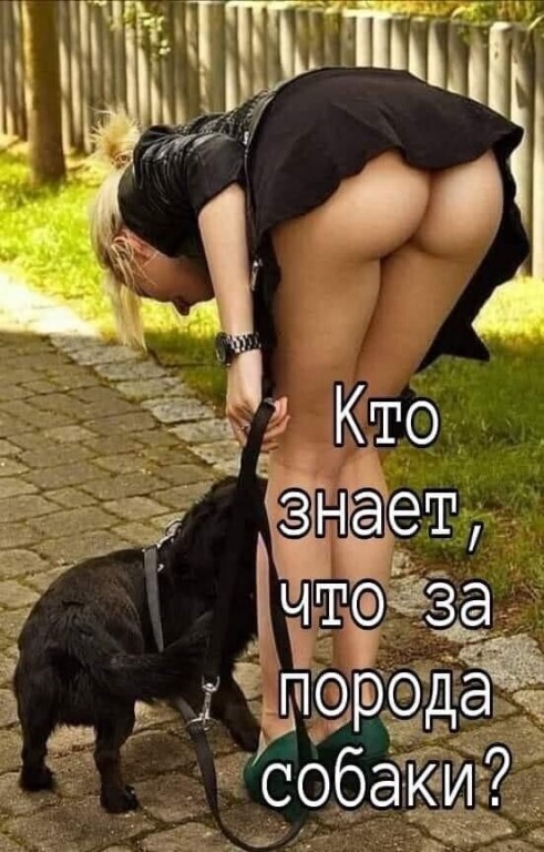 IMG-6825425e69c121d2b7d378c49e966247-V