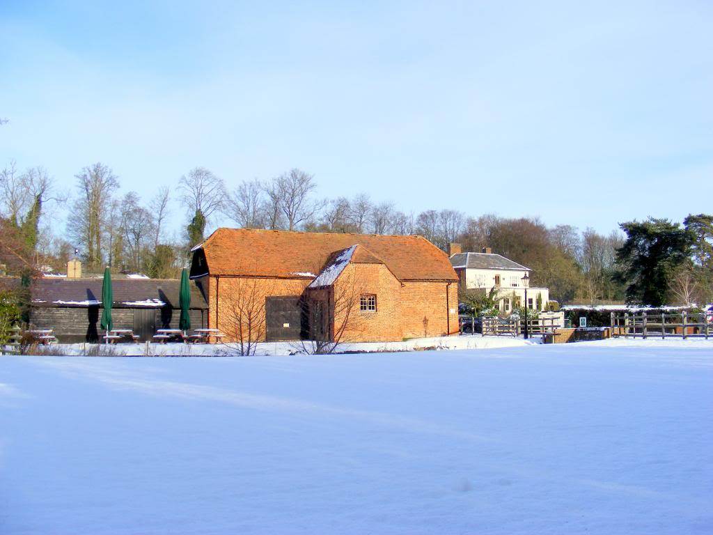 DSCF0038-jpg-original.jpg