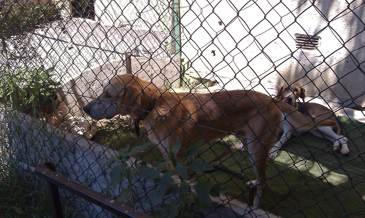 1074616_1386900624866786_471553872_o (1)