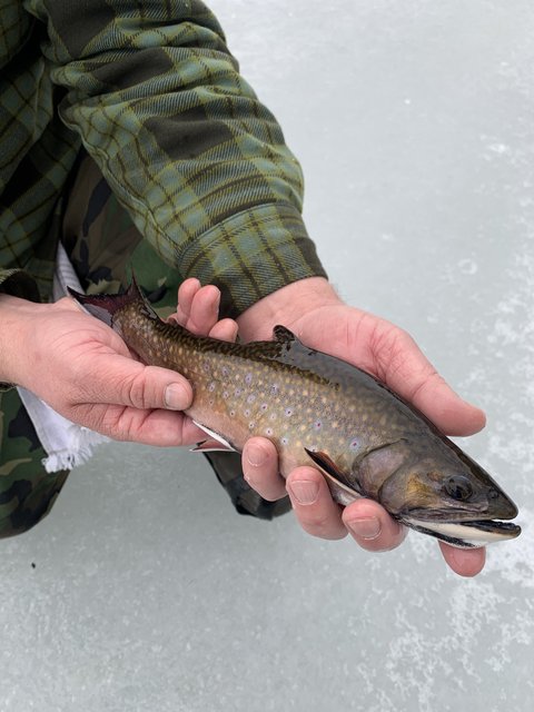 86DD3D35-3D02-4B9A-B654-8388AF7586A5