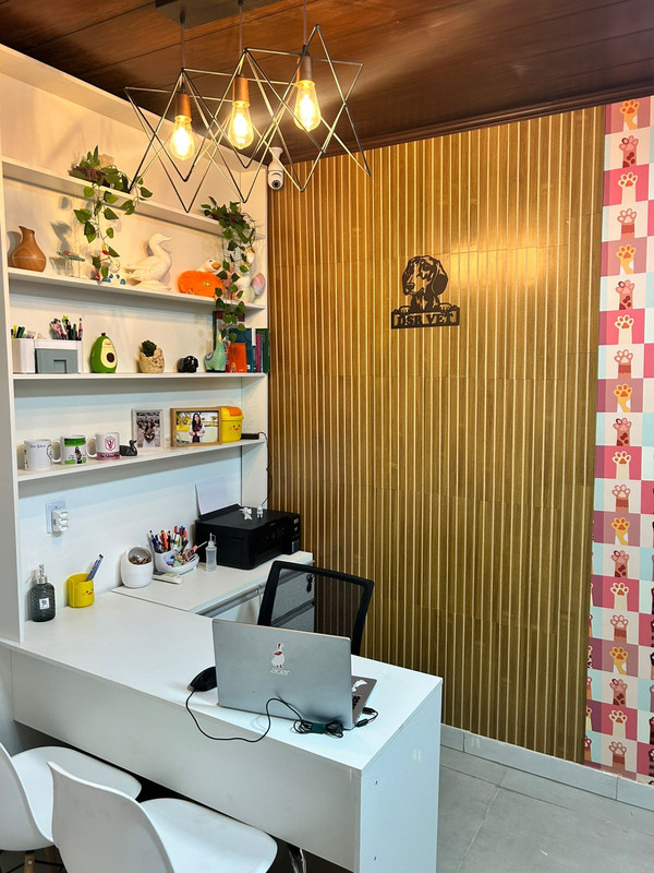 Consultório veterinário equipado