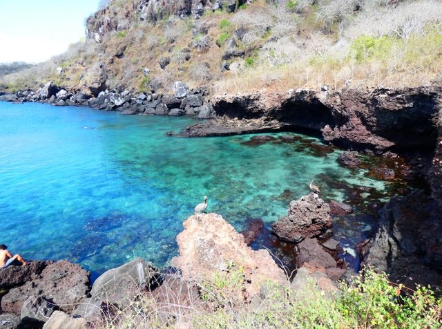 Día 15 (2 de julio): Playa Man, Punta Carola y Cerro Tijeretas - Galápagos 2022 (7)