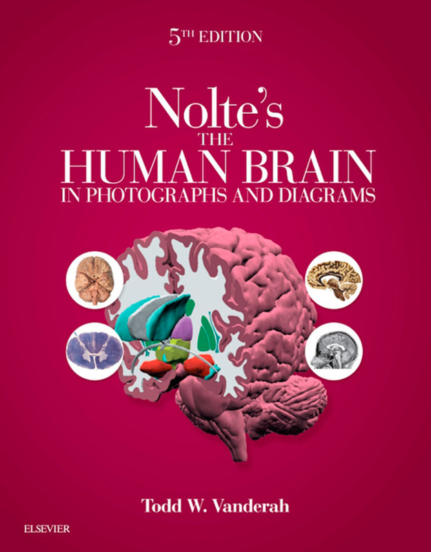 Nolte's The Human Brain in Photographs and Diagrams, 5th Edition Nolte's The Human Brain in Photographs and Diagrams, 5th Edition