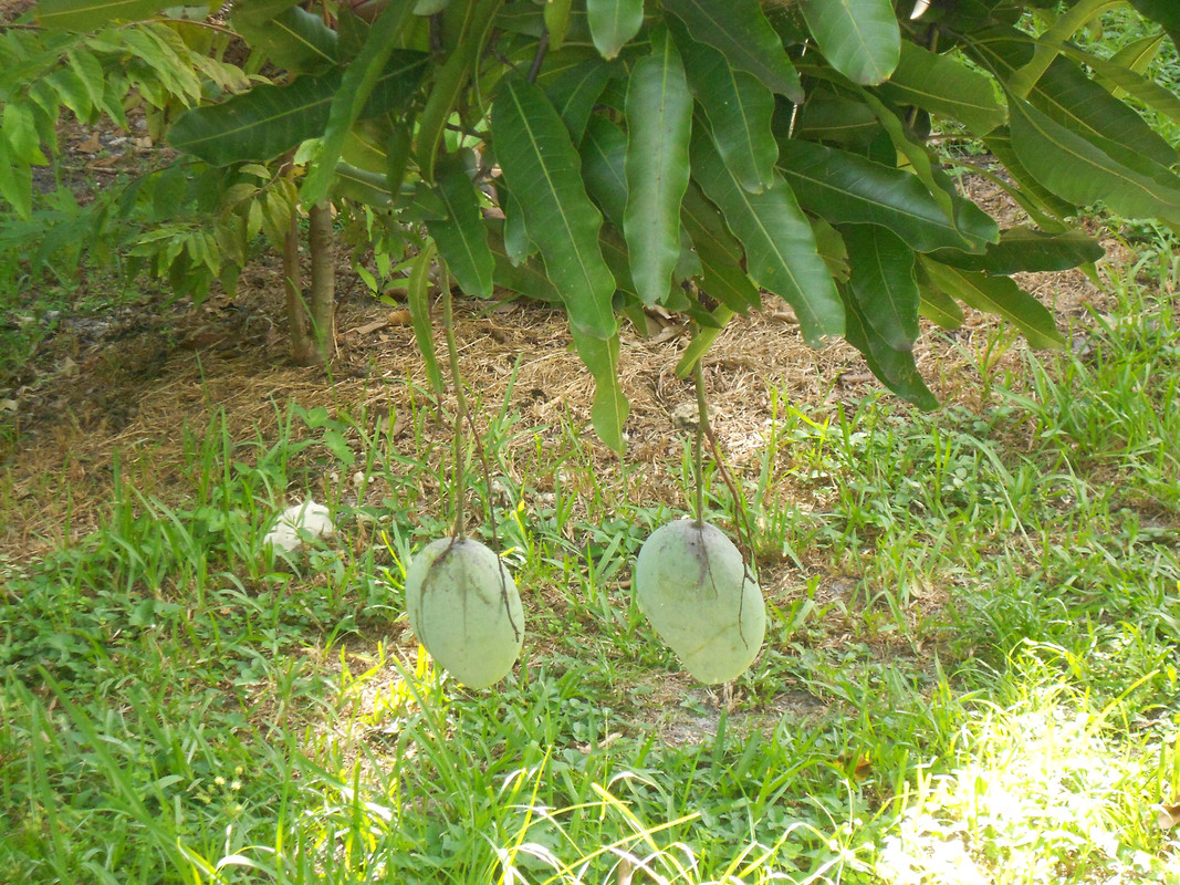 DSCN4760