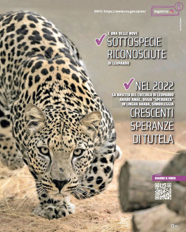 QuattroZampe Giu 2023 (2)