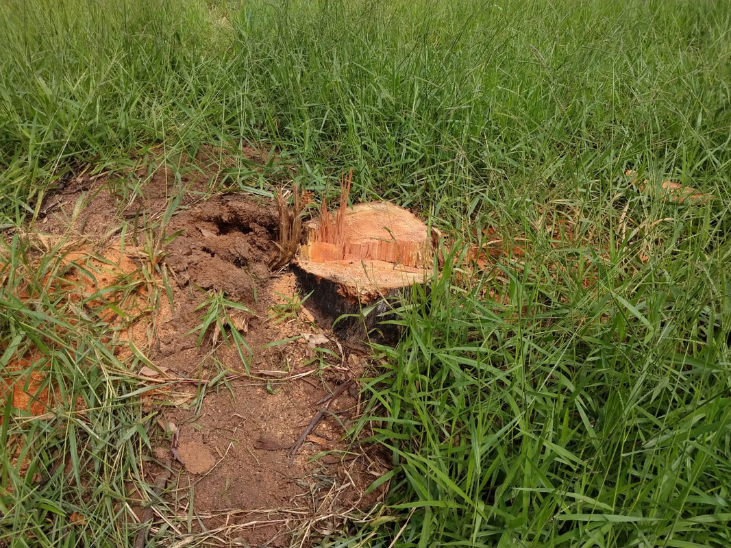 WhatsApp Image 2020-01-31 at 15.50.18 (6)