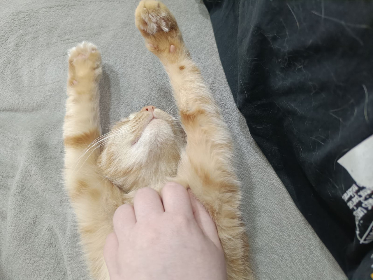 IMG cf8736e376f7ff3569d4f75e5b0df187 V