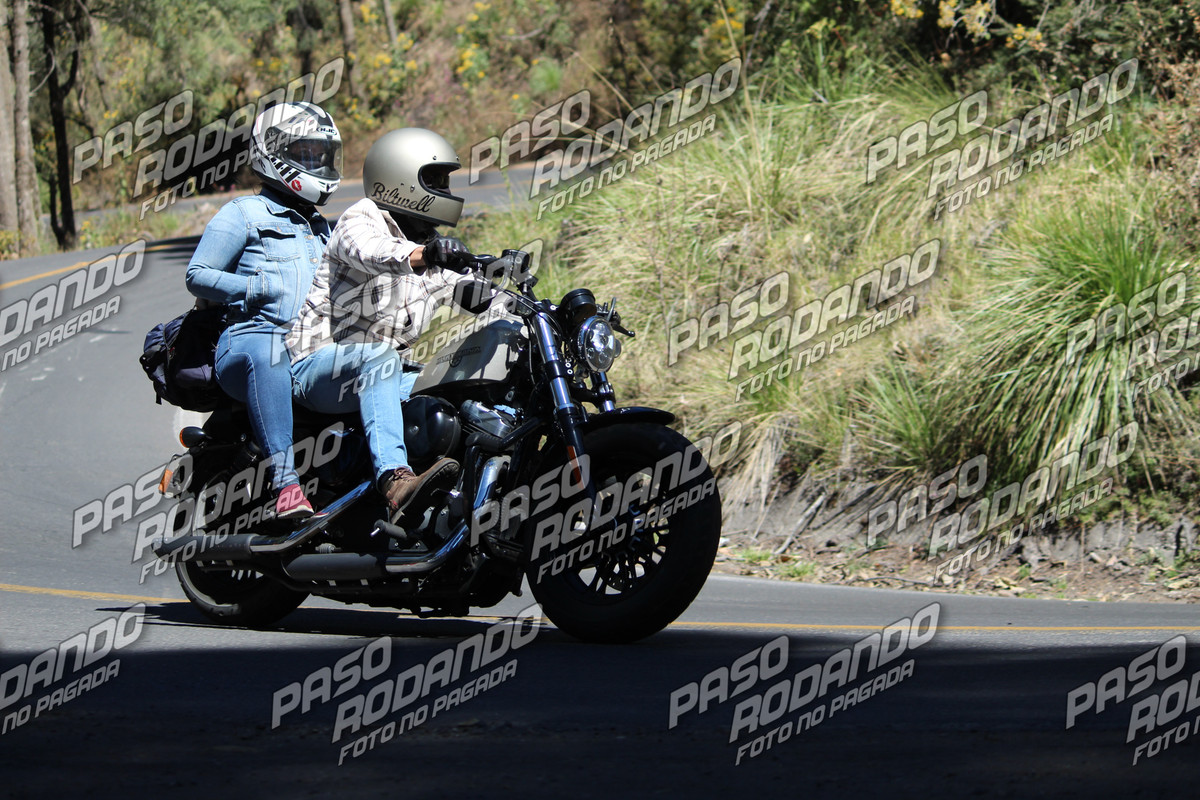 IMG_5739-wm-7643520.4_watermarked