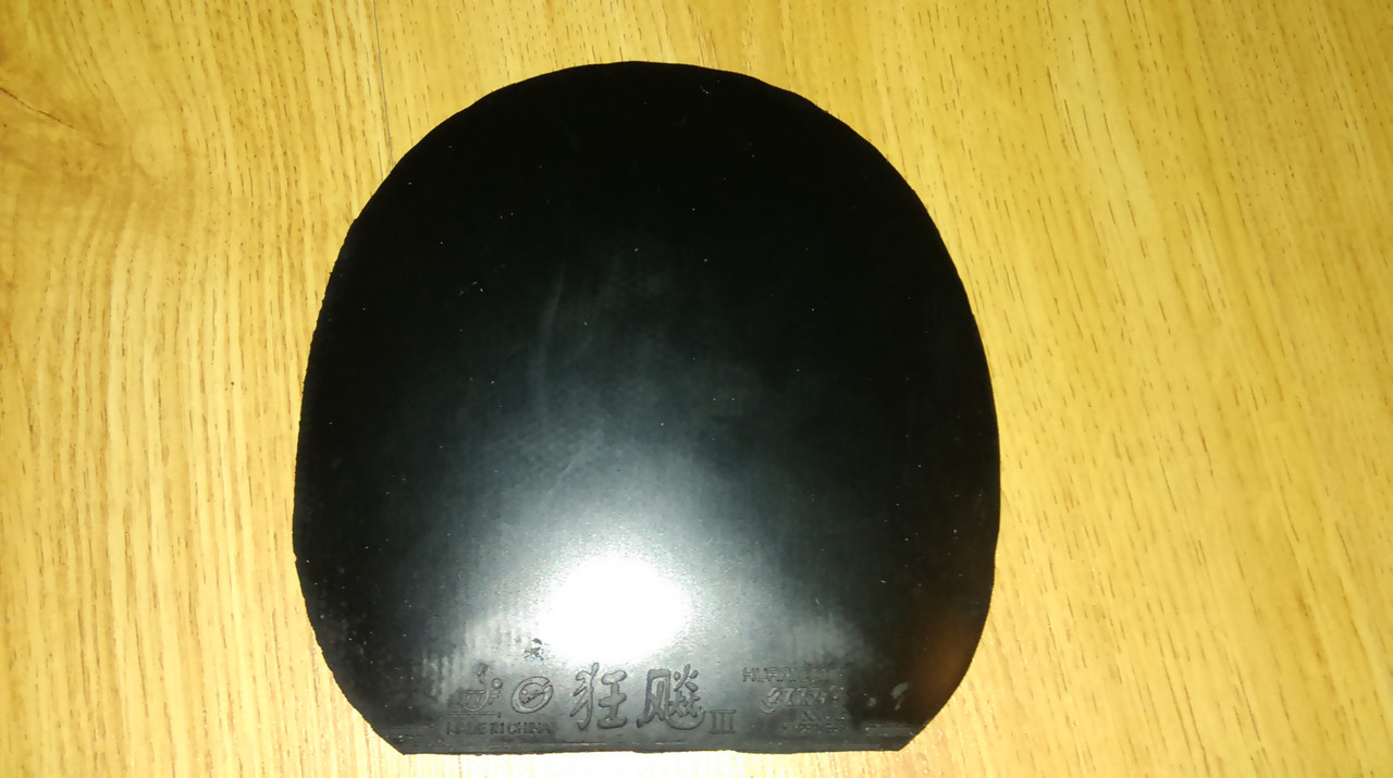 IMAG0344