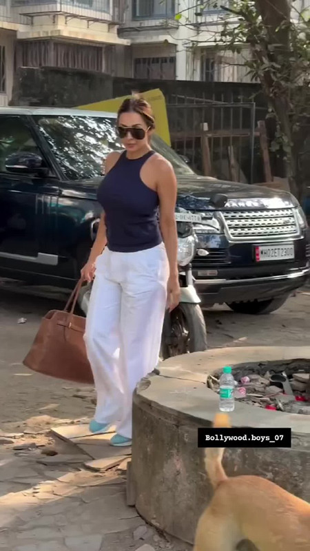 IMG_20250126_091829_788